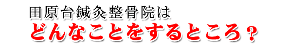 どんなことをするところ？
