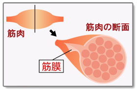 矯正