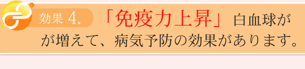 免疫力アップ